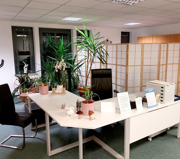 Büro-Empfangsbereich mit Schreibtisch, Stuhl, Pflanzen und Dekorationsgegenständen.